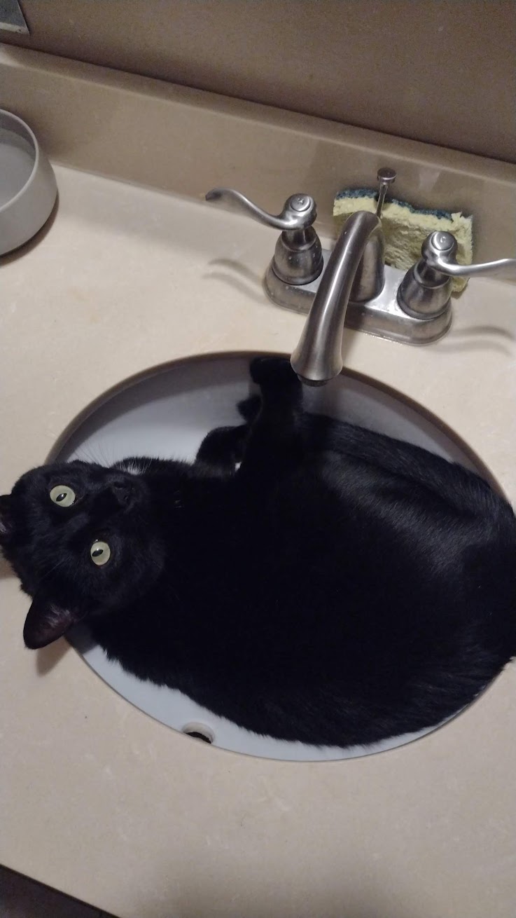 Big Cosmo in the sink