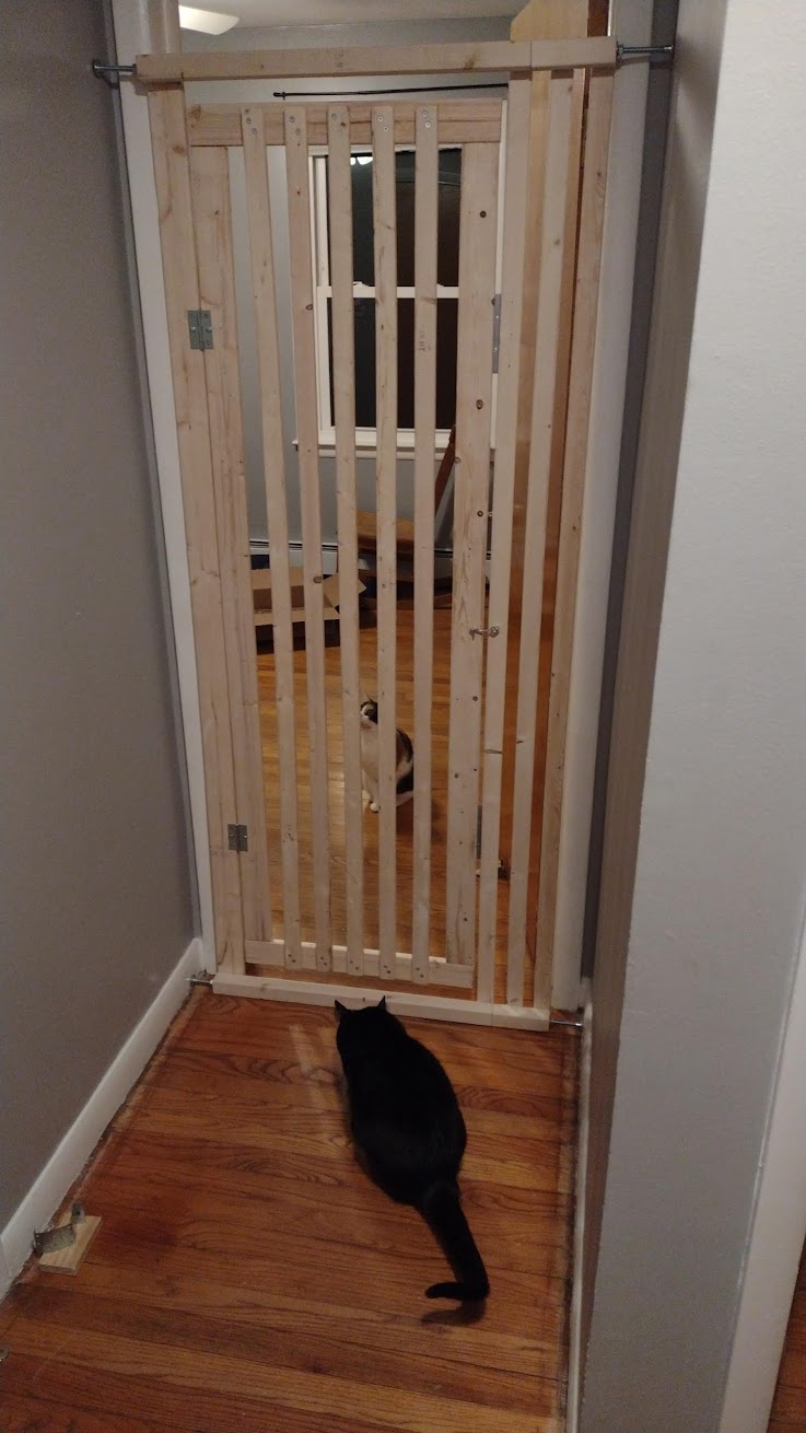 Big Cosmo in the sink